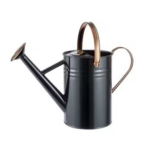 Lata de agua moderna para decoración de jardín, diseño maravilloso, forma personalizada, lata de agua de hierro puro para gran venta a precio asequible - Product Image 3