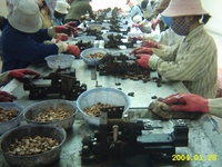 Beste Prijs Cashew Shelling Tafel Met Capaciteit 180Kg/Uur Voor Ruwe Cashew Industrie Gemaakt In Vietnam