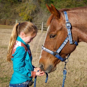 Productos Ecuestres al por Mayor, Collares para Caballos con Equipo de Alta Calidad, Collares para Montar a Caballo - Product Image 2