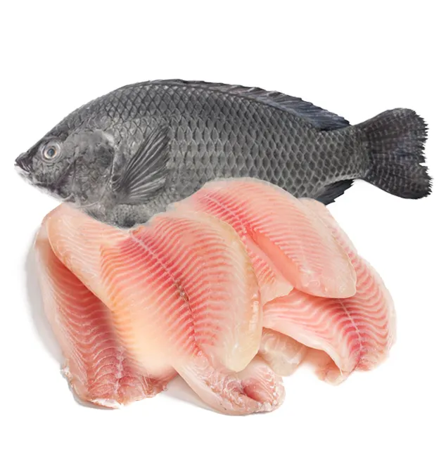 Nieuwe Aankomst Rode Tilapia Groothandelsprijs Bevroren Vis Tilapia