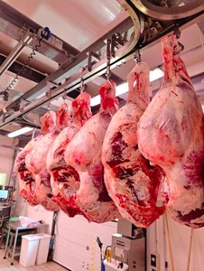 Grasa de Cola de Cordero Congelada Halal IQF de Primera Calidad, Sin Grasas Trans, 10 kg, 24 Meses de Duración - Product Image 5