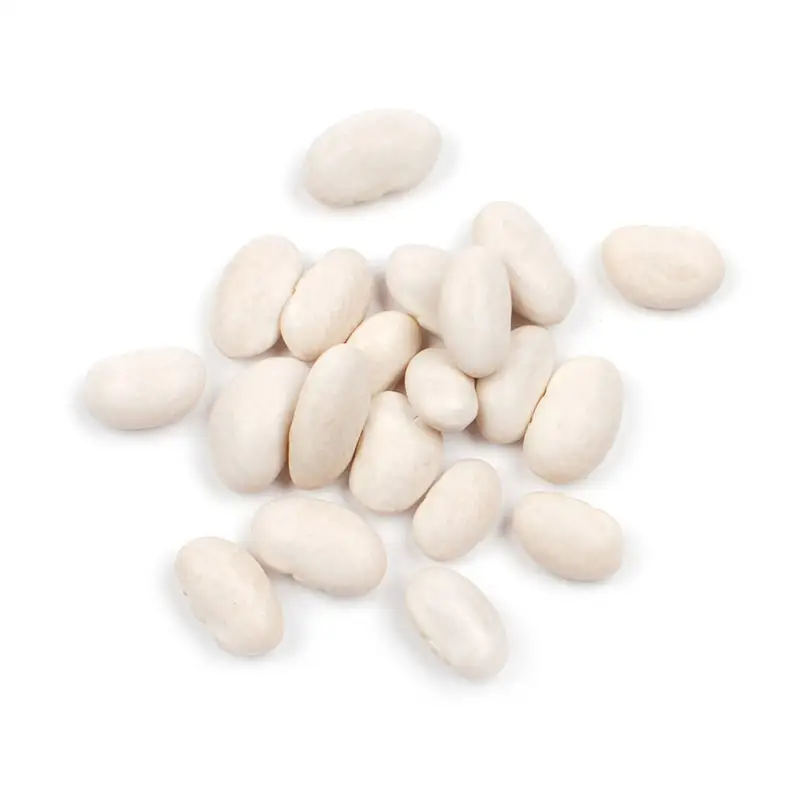 Cheap Wholesale Top Quality white kidney Beans In Bulk White Kidney Beans Hot Selling Organic Dry White Kidney Beans