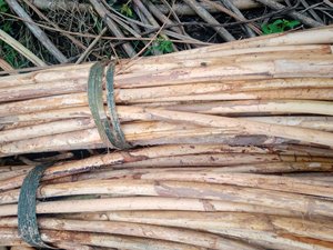 หวายธรรมชาติอ้อย/ขัดหวาย Manau เสาวัสดุสำหรับทำเฟอร์นิเจอร์และงานฝีมือ - Product Image 2