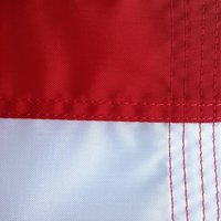 Promotion en gros d'usine : Drapeau national pan-africain 3x5 en polyester, couleurs rouge, noir et vert
