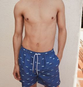 Summer Quick Dry Short Mens Beach Swim Shorts Plus Size Printed Embroidery Logo Swim Trunks Double <b>Layer</b> Mesh Blank Men Shorts - Product Image 3