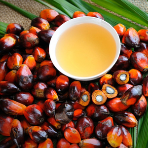 น้ำมันปาล์มบริสุทธิ์ CP8 CP10น้ำมัน CP6บริโภคได้100% น้ำมันปาล์มบริสุทธิ์สำหรับการส่งออกจำนวนมากในราคาที่แข่งขันได้ - Product Image 6