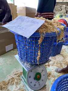 Algues Eucheuma séchées 99 Gold Data de haute qualité prêtes pour l'exportation Meilleur prix Vente en gros directe - Product Image 2