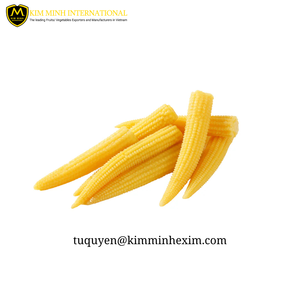 Maíz bebé congelado IQF vietnamita de alta calidad para exportación - Product Image 6