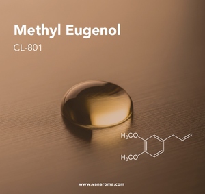 Méthyl Eugénol Parfum Naturel de Clou de Girofle (CL-801) Van Aroma - Product Image 1