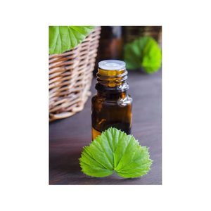 Aceite esencial de geranio de etiqueta privada de suministro OEM para el cuidado de la piel y el cabello aceite de geranio de bajo precio - Product Image 2