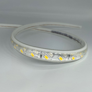 Ba Màu Sắc Có Thể Thay Đổi 3 Dây Đồng Tuyến Tính Dài Băng Đèn Công Viên Lễ Hội Chiếu Sáng Ngoài Trời Không Thấm Nước Cuttable <span class=keywords><strong>LED</strong></span> Dải Ánh Sáng - Product Image 3