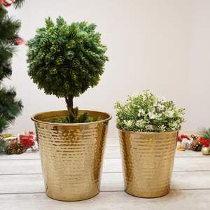 Maceta de Metal Dorado de Alta Calidad para Decoración del Hogar y Comercial, Maceta Decorativa con Recubrimiento en Polvo para Sala de Estar y Pasillo - Product Image 6