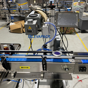 Machine de codage électrique <span class=keywords><strong>CO2</strong></span> en promotion avec PLC et moteur, emballage en caisse en bois - Product Image 4