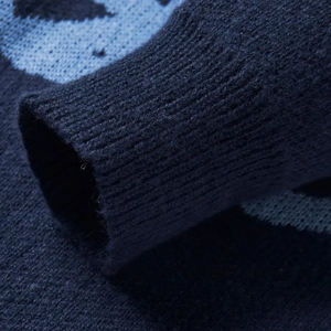 Sudadera de invierno personalizada, ropa de calle Regular de ajuste, jersey para hombres y mujeres, ropa de gimnasia, proveedor de marca informal, forro polar de algodón 100% - Product Image 4