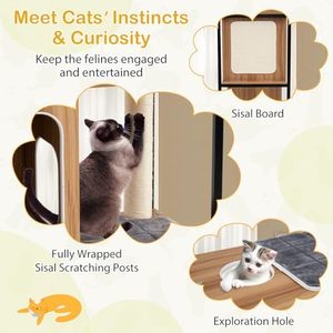 Meet Cats INSTINCTS & Curiosity Múltiples puntos cómodos para gatitos Tablero de sisal Exploraciones Agujero Totalmente envuelto - Product Image 5