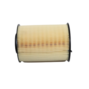 Wenzhou กรองอากาศ1848220 C16134/1 E1010L C 16 134/1ผลิตใหม่ - Product Image 1