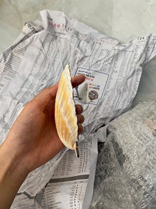 Copa de vino artesanal con concha de vieira estilo costero para elegantes manteles - Product Image 3