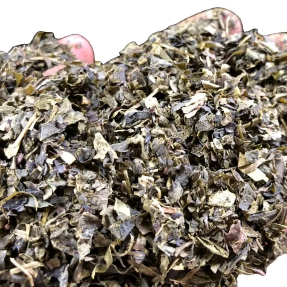 Vietnam Wholesale Green tea bags Green tea flavor best green tea to buy Manufacturer Vietnamese