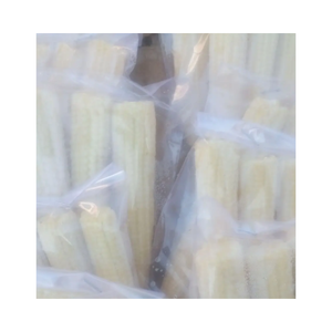 Maïs congelé IQF du Vietnam grains de maïs jaune de qualité supérieure pour bébés grains de maïs en vrac vente en gros approvisionnement d'usine d'exportation - Product Image 3