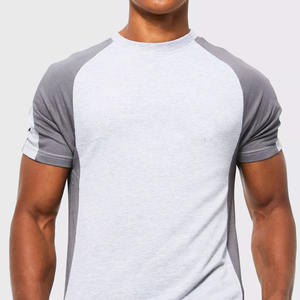 2023 hommes les plus élégants manches raglan couleur grise 100% polyester Muscle Fit t-shirt à vendre à des prix raisonnables - Product Image 2