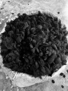 Extensiones de cabello peruano Guti Goli indio sin procesar de alta calidad 100% trama doble directo de la India-precio al por mayor - Product Image 3