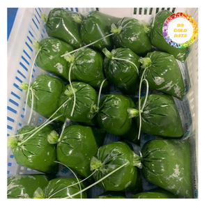Hojas de Yuca Congeladas para Procesamiento Industrial de Alimentos, Premium, Origen Vietnam - Product Image 6