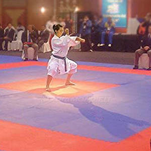 Alfombrillas de Karate de nailon ligeras Unisex de alta calidad, alfombrillas de entrenamiento deportivo suaves con estampado de logotipo personalizado, opción al por mayor disponible - Product Image 6