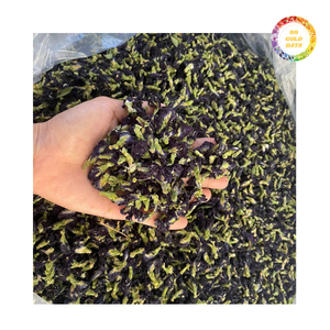 Fleur de pois papillon séchée pour infusion, brassage et utilisation en boisson - Product Image 4