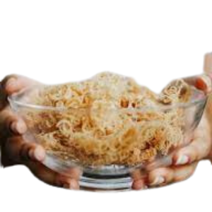 มอสจากทะเลธรรมชาติมอสจากเวียดนาม - Product Image 4