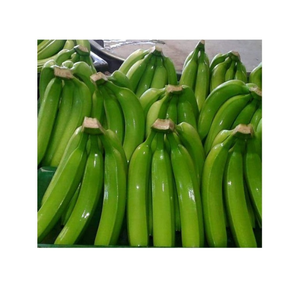 El producto fresco a buen precio-Fruta fresca de Vietnam Cavendish banana-Exportador directo - Product Image 1
