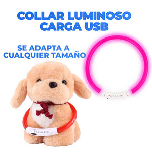 Collare per Animali Domestici con Luce LED Ricaricabile USB, Stile Semplice in Nylon e TPU con Stampa in Silicone, Taglia L, Guinzaglio per Cani e Gatti - Product Image 2