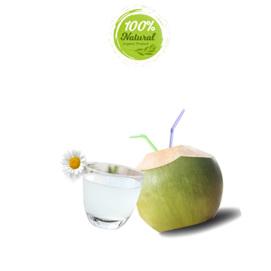 ผลิตภัณฑ์เพิ่มความชุ่มชื้นจากธรรมชาติมะพร้าวสดจากเวียดนามจากผลิตภัณฑ์ทางการเกษตร - Product Image 2