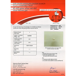 Perlas Sueltas Basra Pearl de 3.21 Quilates - Product Image 4