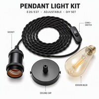 Kit de suspension de plafond CE, mini luminaires suspendus vintage, cordon noir, douille E26 E27, support de lampe DIY réglable, garantie