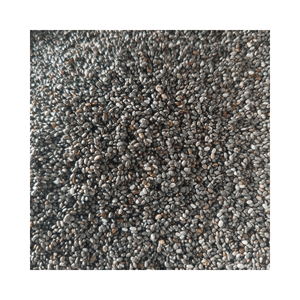 เครื่องดื่มเพื่อสุขภาพเมล็ดโหระพาราคาดีที่สุดในตลาดและคุณภาพสูงจาก99โกลด์ดาต้าเวียดนาม - Product Image 3