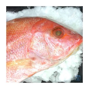 Pescado blanco congelado de buena calidad, venta al por mayor de mariscos frescos - Product Image 2
