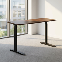 Bureau debout électrique professionnel minimaliste à pieds ovales, 3 niveaux, double moteur caché, en acier robuste, réglable en hauteur, ergonomique, pour position assise
