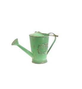 Arrosoir en fer galvanisé écologique MOON STAR EXPORTS Am 9884, durable, capacité personnalisée, fait main, prix bas, fournitures de jardin - Product Image 1