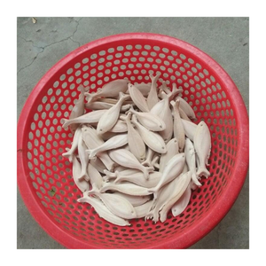 Sculpture de poisson en bois artistique faite à la main pour un affichage à la maison sophistiqué - Product Image 1