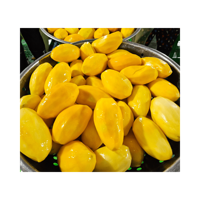Exportfabriek Biedt Zacht Gedroogde Mango Droge Vruchten En Noten Voor Groothandel/Gezonde Mango Snacks