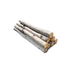 ซัพพลายเออร์ขายส่งของท่อนไม้เบิร์ชระดับพรีเมียมพร้อมการจัดส่งที่รวดเร็ว - Product Image 5