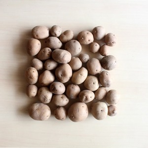 Pommes de terre fraîches pour bébés en vrac en gros récolte directe pommes de terre fraîches pour bébés emballées avec un goût et une fraîcheur 100% naturels - Product Image 4