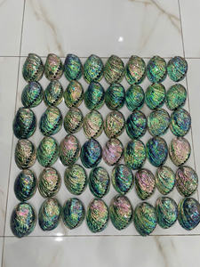 Prix de gros bon marché exquis Narce Seashell: Vente chaude artisanat naturel vietnamien poli coquille d'ormeau. - Product Image 2