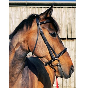Fabricantes que venden brida de caballo de cuero genuino al por mayor diseño personalizado brida de caballo de cuero real de alta calidad - Product Image 1