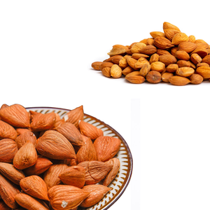 Apricot Kernel | เป็นที่นิยมในตลาดตะวันออกกลางและเอเชีย - Product Image 3