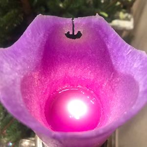 ของตกแต่งบ้านในเทศกาลคริสต์มาสปลอดภัย100% เป็นมิตรต่อสิ่งแวดล้อมเทียนเวทมนตร์เทียนหอมบริสุทธิ์ไม่มีกลิ่นขี้ผึ้งปาล์มมีรูปร่างแตกต่างกัน - Product Image 5