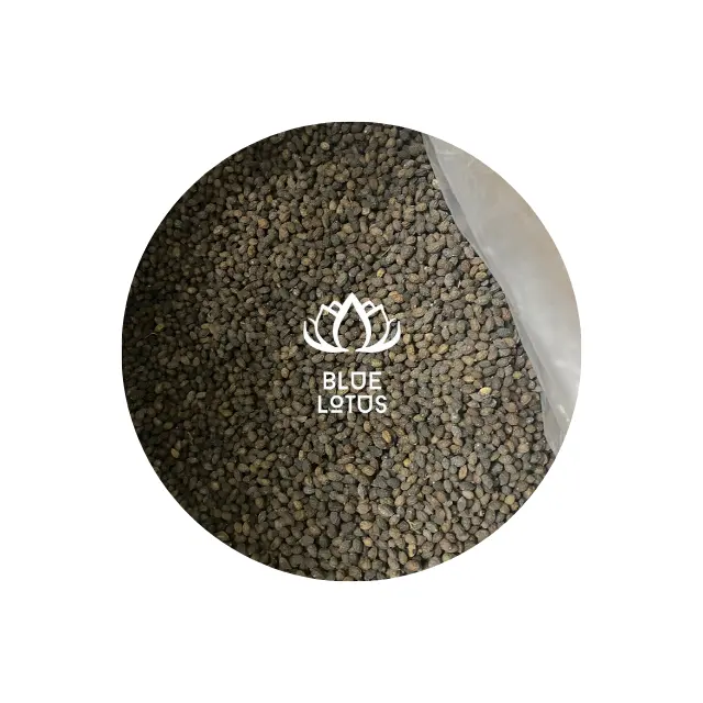 Dried Papaya Seed Treatment Black Seeds Vietnam For Import Good Tea Flower Export Quality