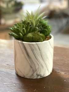 กระถางดอกไม้ - Product Image 3