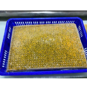 เยื่อเสาวรสแช่แข็งที่สกัดสดใหม่ในเวียดนามรสชาติเข้มข้นเหมาะสำหรับชาบับเบิ้ลไอติมซอสผลิตภัณฑ์โภชนาการ - Product Image 3