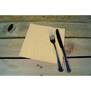 Serviettes en papier crème 40x40cm 2 plis 50 pièces 24 paquets B2B - Product Image 1